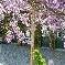 Chambre d'hote Nord - 
