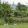 Chambre d'hote Nord - Vue sur la campagne pvloise, de notre jardin...