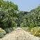 Chambre d'hote Mayenne - L'alle principale du jardin potager