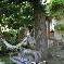Chambre d'hote Tarn - Le jardin