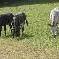 Chambre d'hote Hautes Alpes - 