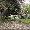 Chambre d'hote Loir-et-Cher - 