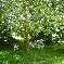 Chambre d'hote Ille-et-Vilaine - 