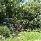 Chambre d'hote Ille-et-Vilaine - 