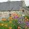 Chambre d'hote Morbihan - 