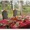 Chambre d'hote Loiret - 