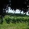 Chambre d'hote Gironde - 