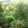 Chambre d'hote Isre - 