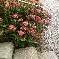 Chambre d'hote Isre - 
