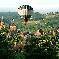 Chambre d'hote Corrze - 
