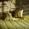 Chambre d'hote Mayenne - 