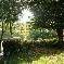 Chambre d'hote Cantal - Le jardin