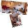 Chambre d'hote Gers - KYALAMI