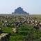 Chambre d'hote Manche - 