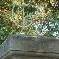 Chambre d'hote Vaucluse - 