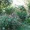 Chambre d'hote Gard - 