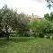 Chambre d'hote Vaucluse - Le jardin
