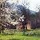 Chambre d'hote Alpes de Haute Provence - Printemps au Jas