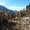Chambre d'hote Alpes de Haute Provence - Ballade autour du Jas