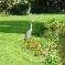 Chambre d'hote Somme - 