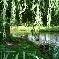 Chambre d'hote Somme - 