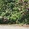 Chambre d'hote Nord - 