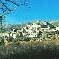 Chambre d'hote Alpes de Haute Provence - Le village de Mane