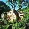 Chambre d'hote Ctes-d'Armor - 