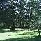 Chambre d'hote Landes - le parc 10000m2