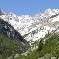 Chambre d'hote Alpes Maritimes - mouflon