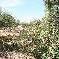 Chambre d'hote Bouches du Rhne - 