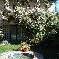 Chambre d'hote Vaucluse - 