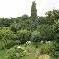 Chambre d'hote Indre-et-Loire - Le jardin en t
