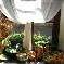Chambre d'hote Aude - 