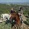 Chambre d'hote Alpes de Haute Provence - 
