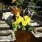 Chambre d'hote Alpes de Haute Provence - 