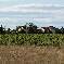 Chambre d'hote Pyrnes-Orientales - 