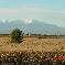 Chambre d'hote Pyrnes-Orientales - 