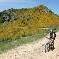 Chambre d'hote Ardche - 