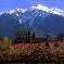 Chambre d'hote Pyrnes-Orientales - Le Canigou l't